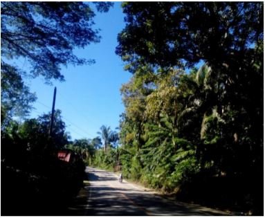 Dao Tagbilaran Bohol