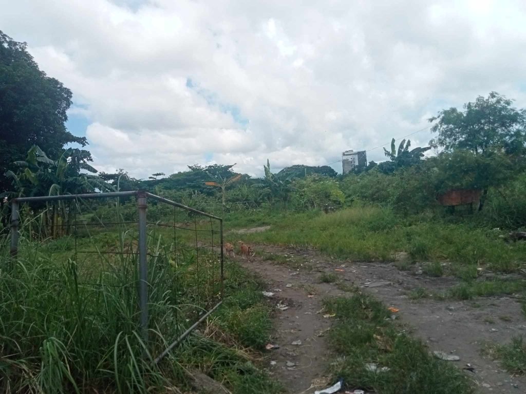 Lot for Lease in Bacolod City