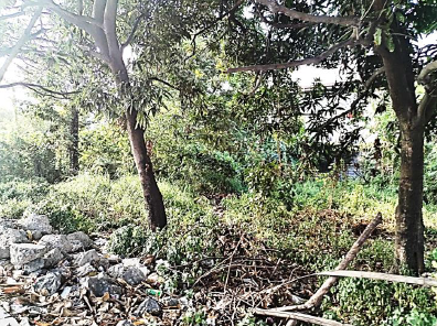 Lot for Lease in  San Fernando City,  Pampanga